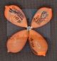 Preview: Turkana Fondo Sport RL Naranja-Fluor